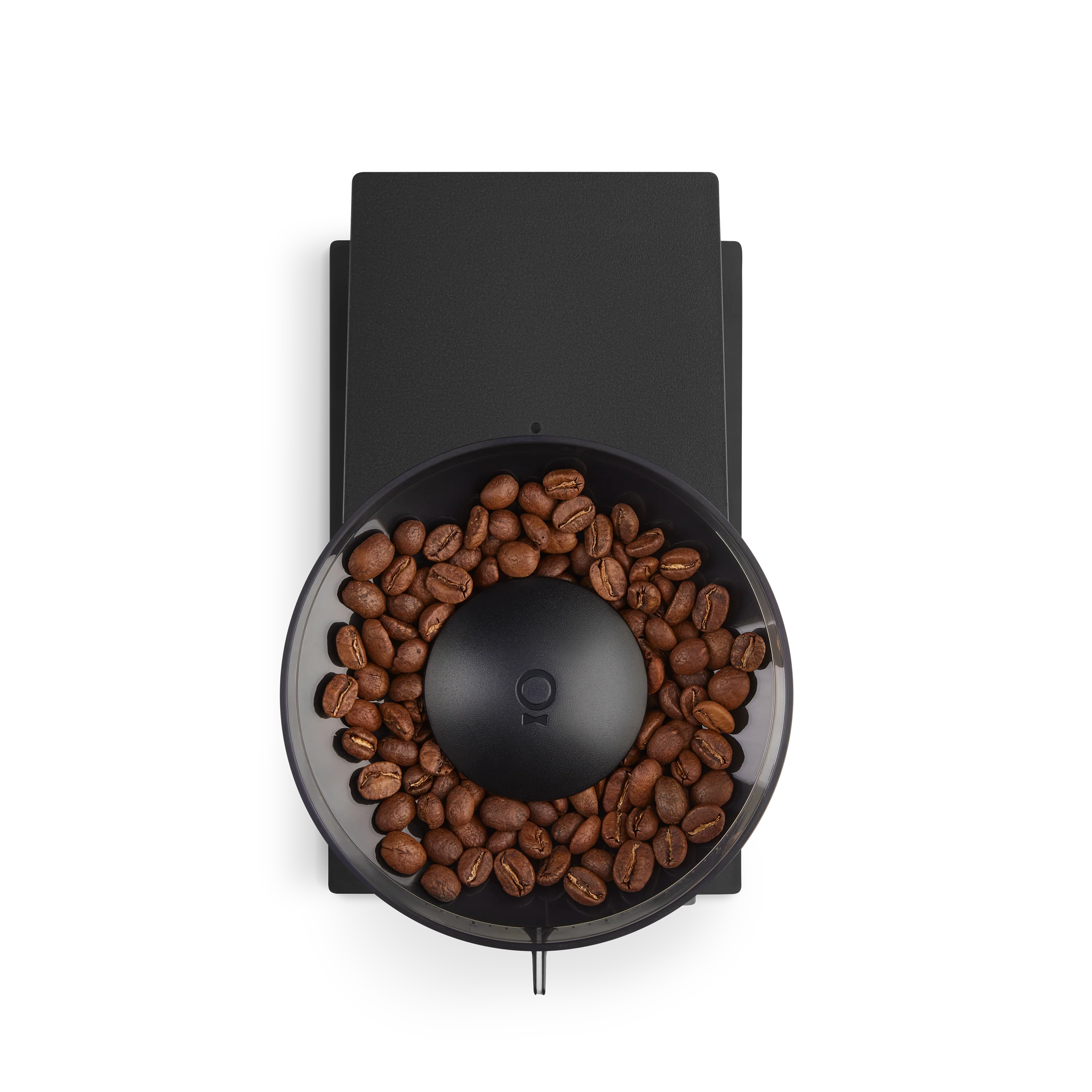 Burr Coffee Grinder with 41+ Precision Settings for All Brewing Styles 6