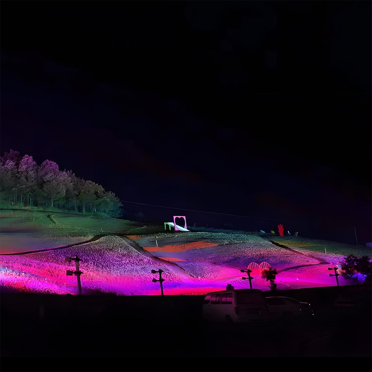 Outdoor Waterproof RGB LED Spot Light Landscape Lighting Adjustable Beam Angle 3