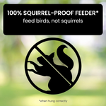 Squirrel Proof Bird Feeder – Durable Weight-Activated Design for Backyard Birds | 5 lbs Capacity 1