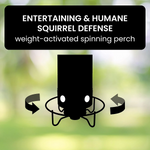 Squirrel Proof Bird Feeder – Durable Weight-Activated Design for Backyard Birds | 5 lbs Capacity 3