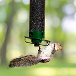 Squirrel Proof Bird Feeder – Enjoy Birdwatching Without Squirrel Interference | Durable & Stylish Design 0