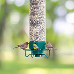 Squirrel Proof Bird Feeder – Enjoy Birdwatching Without Squirrel Interference | Durable & Stylish Design 3