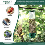 Squirrel Proof Bird Feeder – Enjoy Birdwatching Without Squirrel Interference | Durable & Stylish Design 4