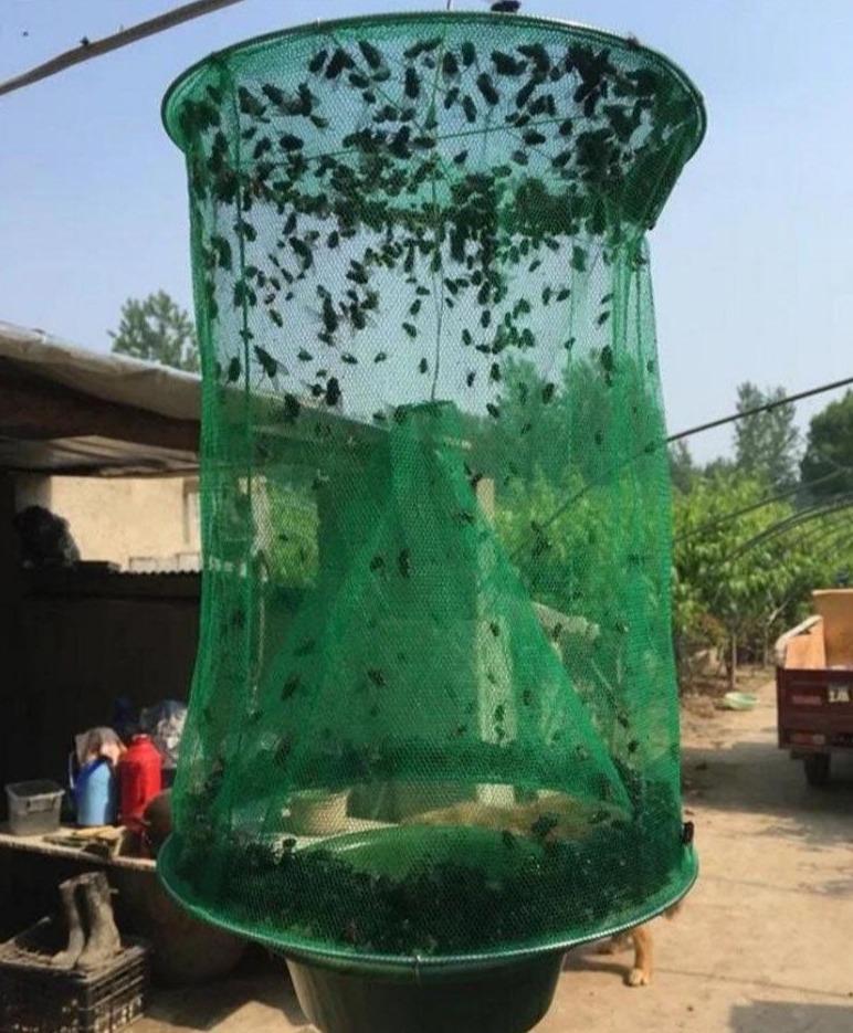 Reusable Folding Fly Trap Cage Net