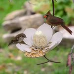 Coneflower Petal Shape Garden Bird Feeder