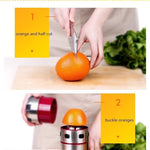 Stainless Steel Portable Juicer