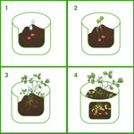 3 Pcs Breathable Vegetable Plant Grow Bags (Large)