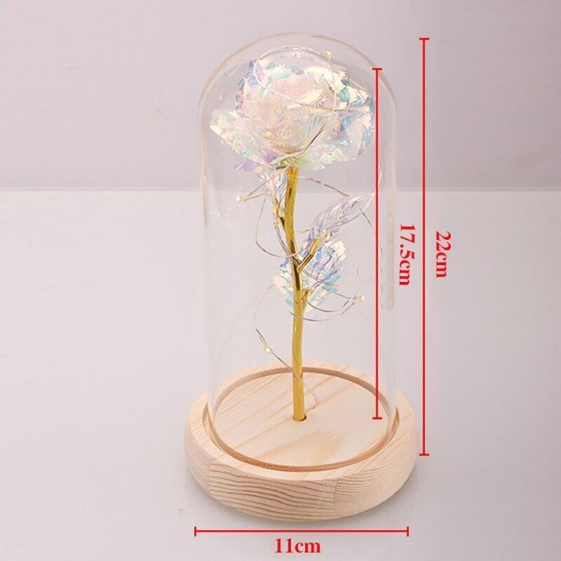 Galaxy Enchanted Rose LED Glass Display (8 Designs)