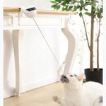 Interactive Electronic Motion Cat Toy Automatic Lifting Ball