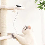 Interactive Electronic Motion Cat Toy Automatic Lifting Ball