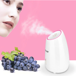 Facial Steamer Face Humidifier