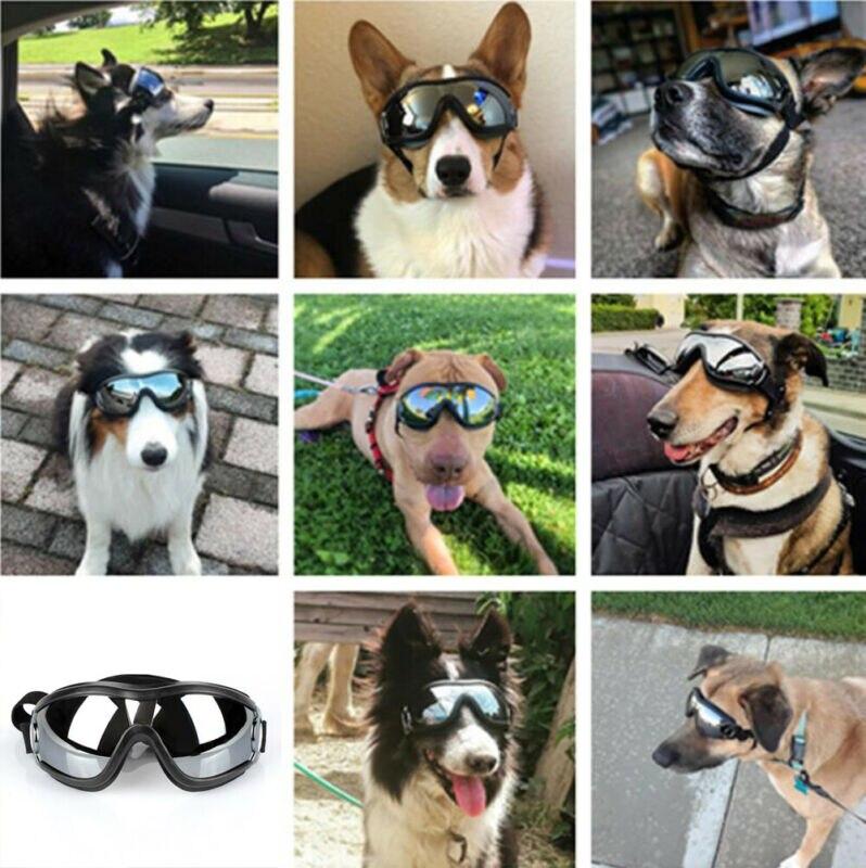 Protective Dog Goggles