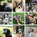 Protective Dog Goggles