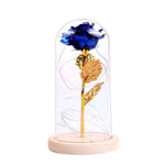 Galaxy Enchanted Rose LED Glass Display (8 Designs)