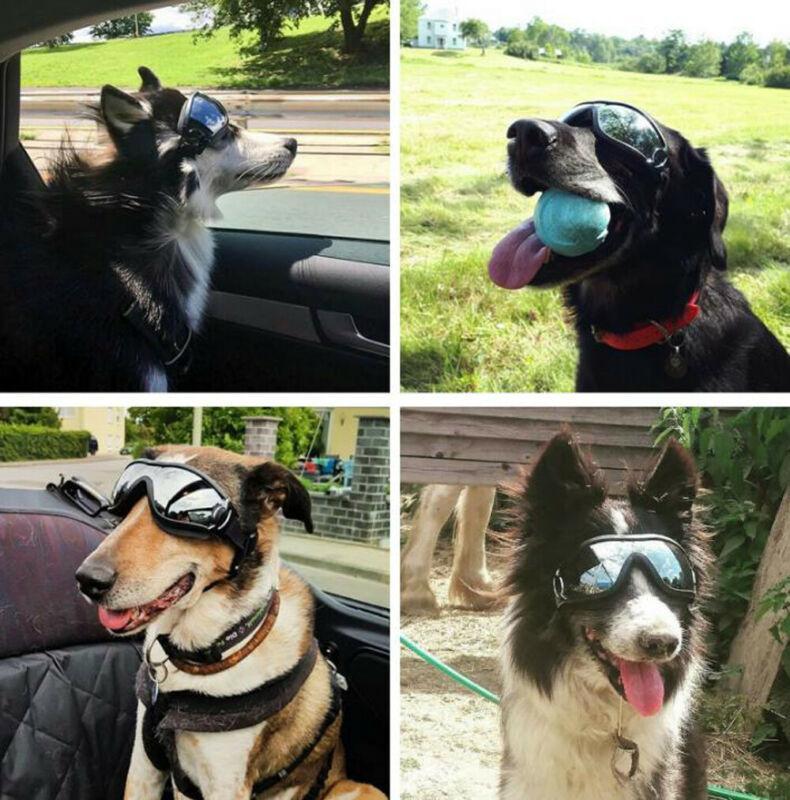 Protective Dog Goggles