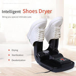 Shoe Deodorizer