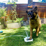 Outdoor Dog Water Fountain - Auto Pet Water Dispenser System