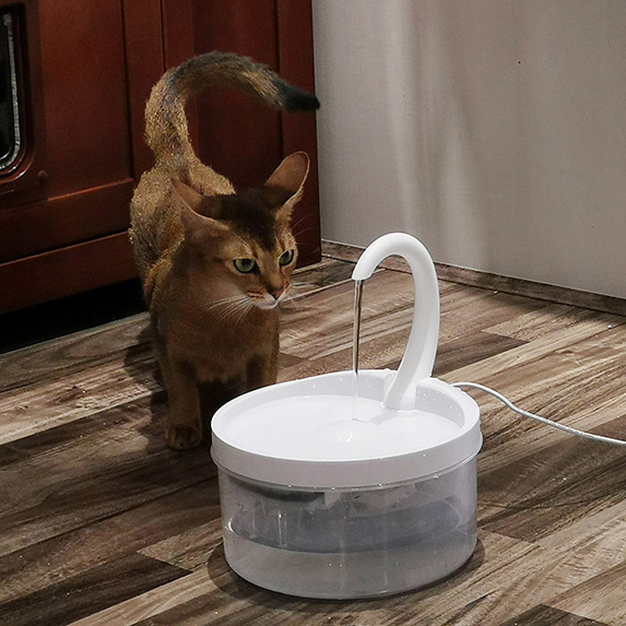 Swan Neck Cat Water Fountain