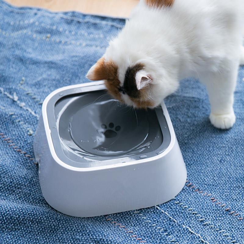 Large Spillproof Gravity Pet Water Bowl Dispenser Waterer for Cats and Dogs