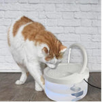 Swan Neck Cat Water Fountain