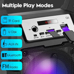 Portable Bluetooth Wireless Speaker and Subwoofer with Surround Sound Music Player and Microphone