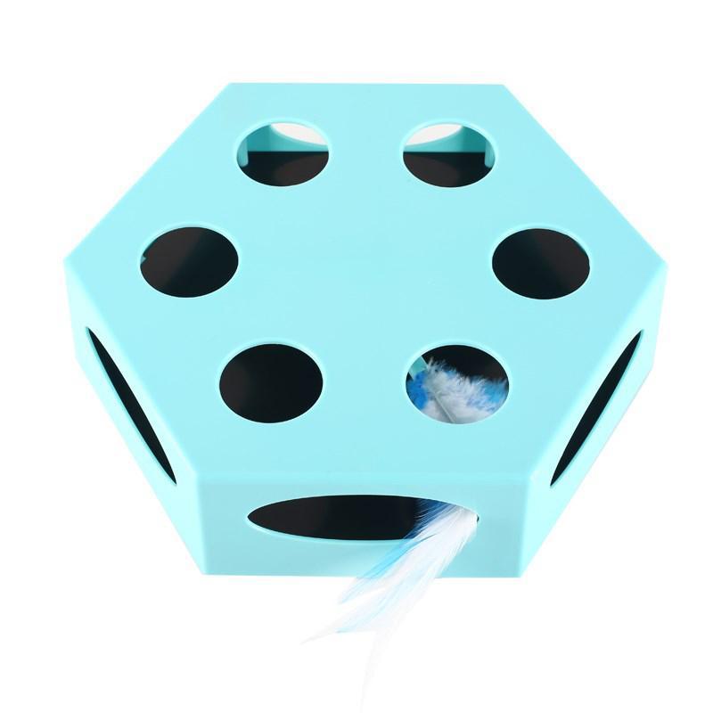 Magic Chaser Interactive Cat Toy