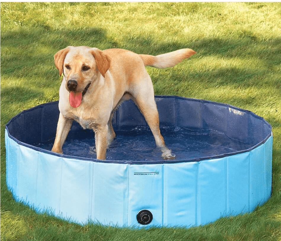 Portable Paw Pool