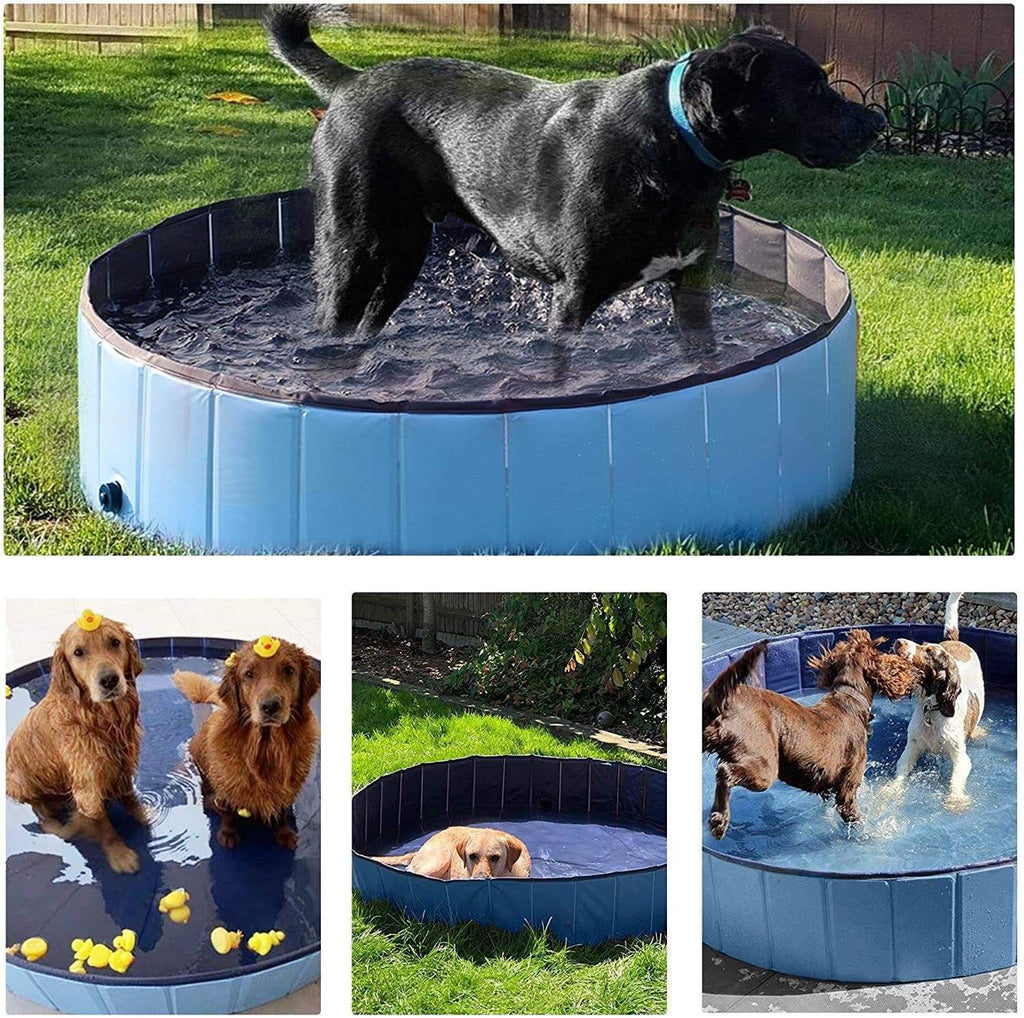 Portable Paw Pool