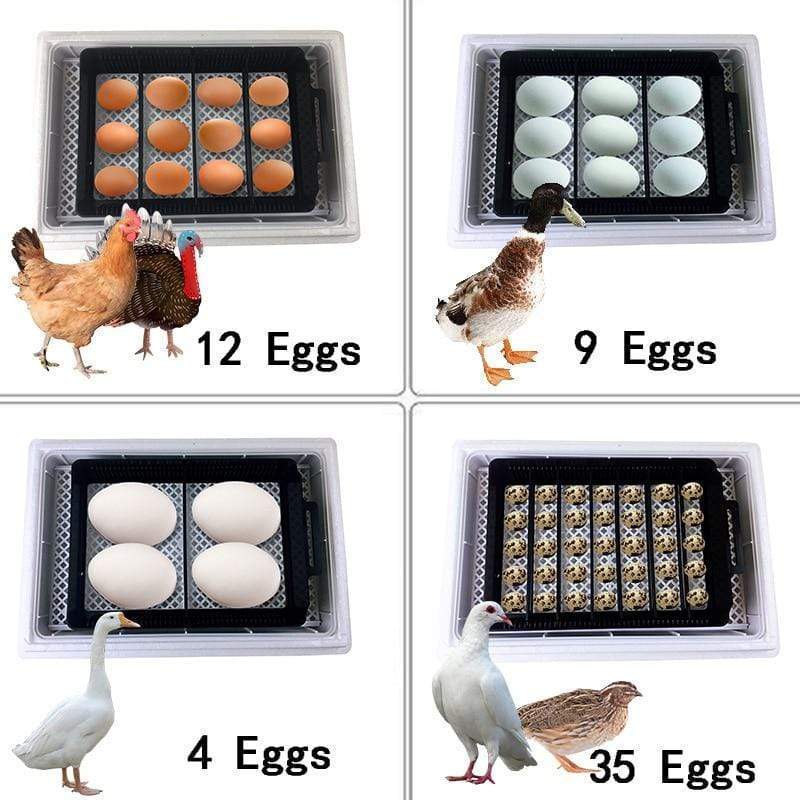 Egg Incubator Hatching Chicken Duck Quail
