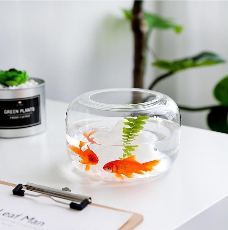 Mini Glass Fish Bowl