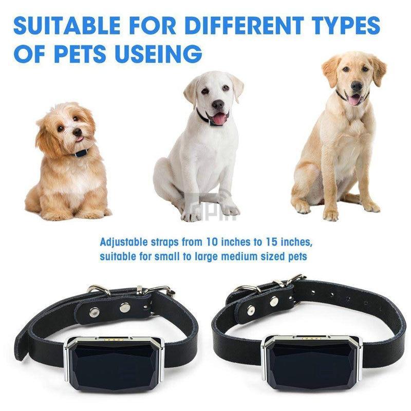 Waterproof Pet Collar GPS Tracker for Pets