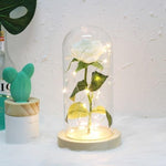 Galaxy Enchanted Rose LED Glass Display (8 Designs)