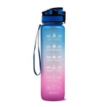 1L Frosted Gradient Water Bottle With Time Marker