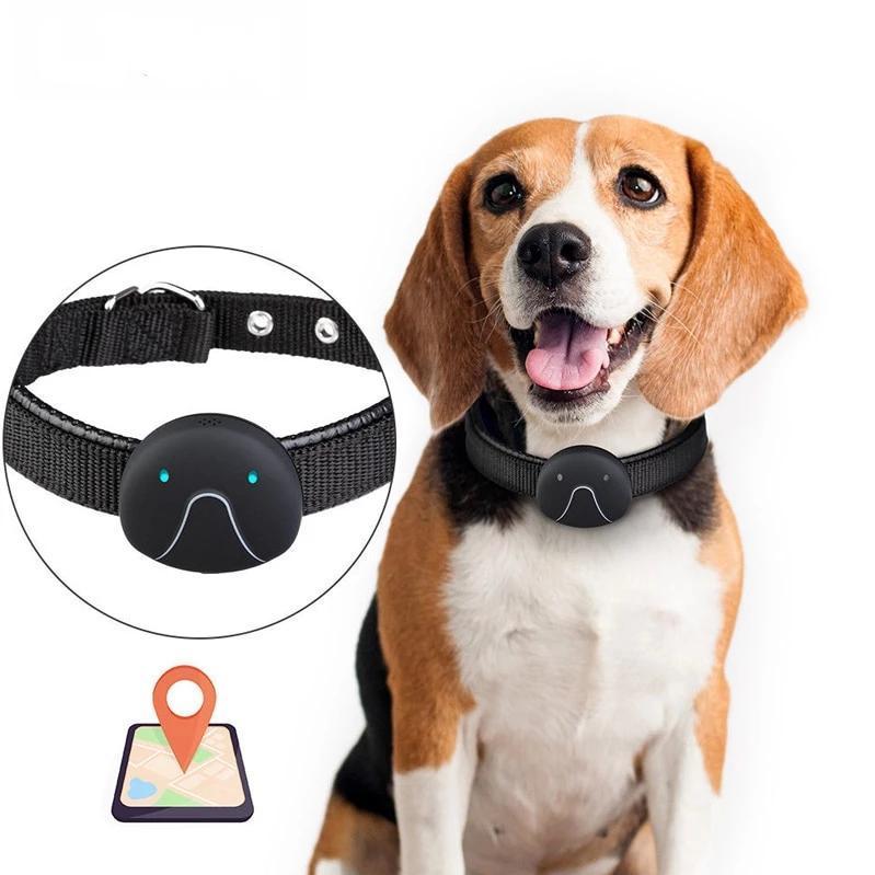 GPS Dog Tracker Collar