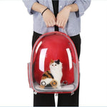 Pet Capsule Backpack - Dog & Cat Backpack