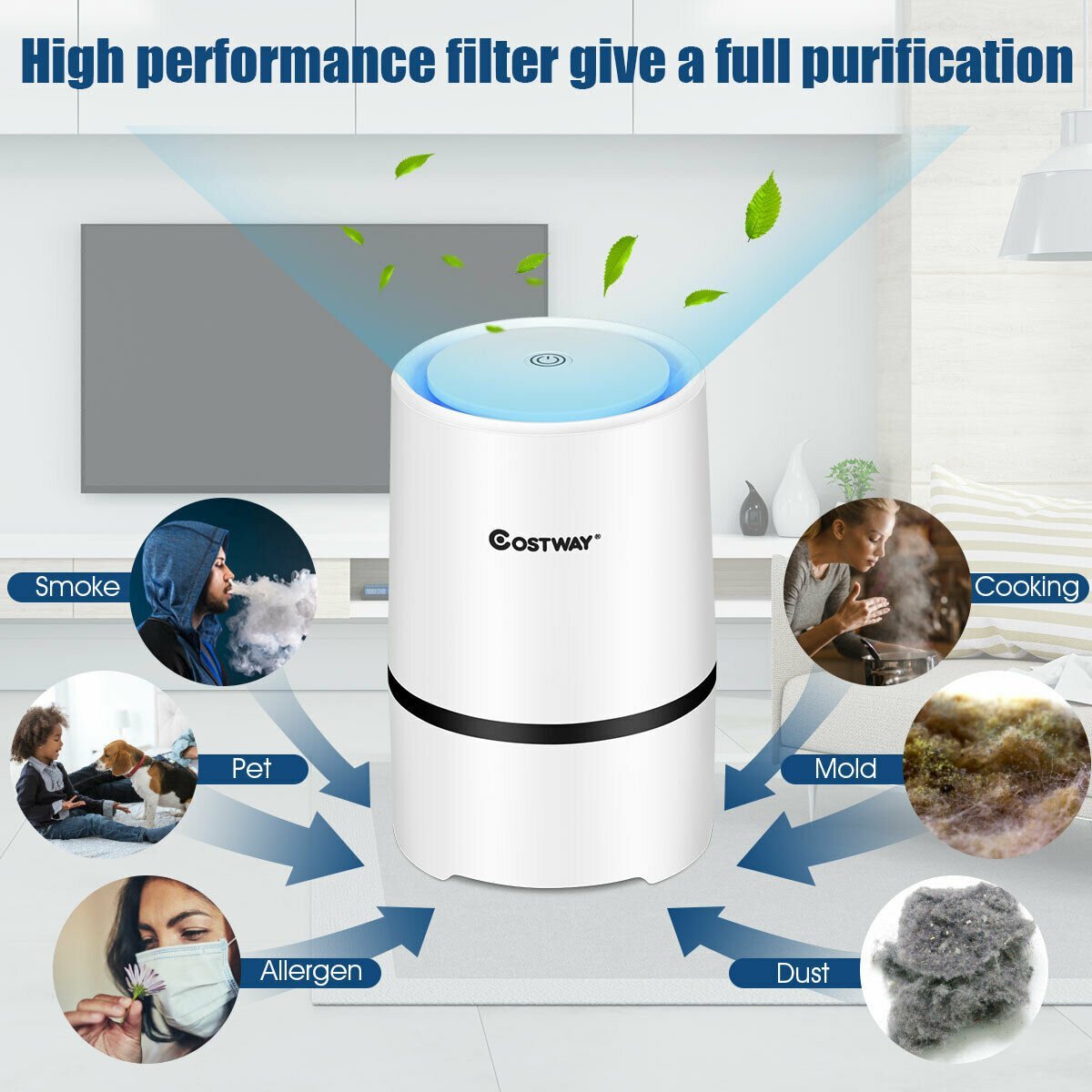 Ionizer HEPA Air Purifier