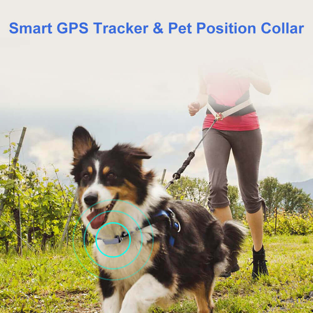 Pet Tracker Waterproof Collar Dog GPS cat GPS